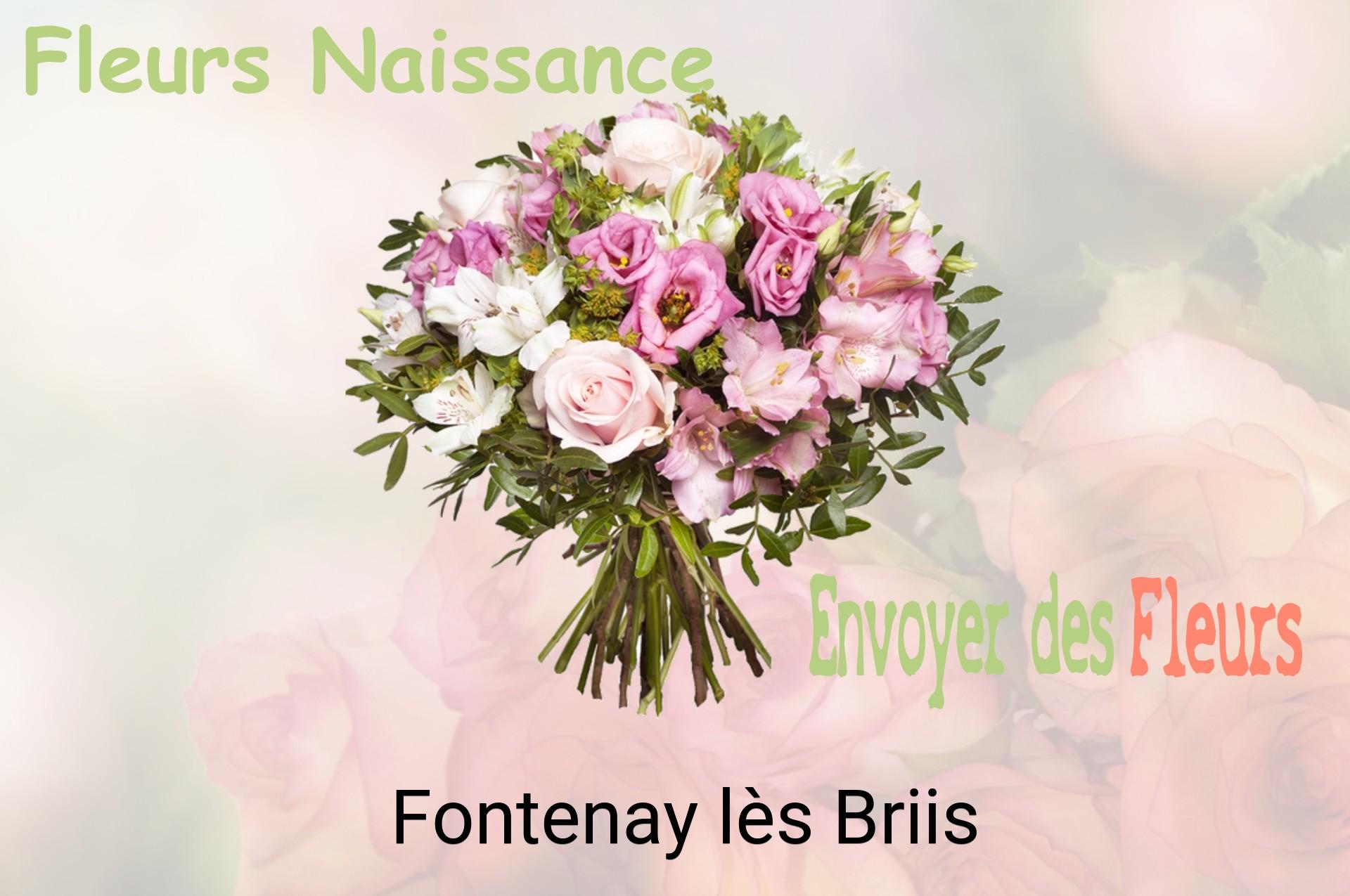 Bouquet de fleurs de naissance livré à Fontenay-lès-Briis